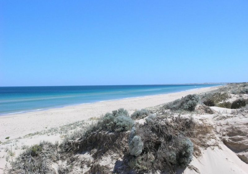Golden Bay